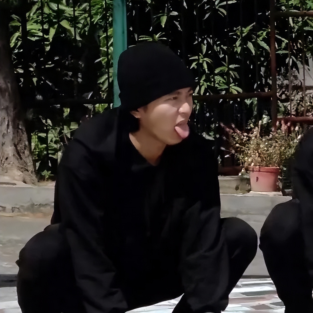 图王鲨鱼哥第83期精品星爷