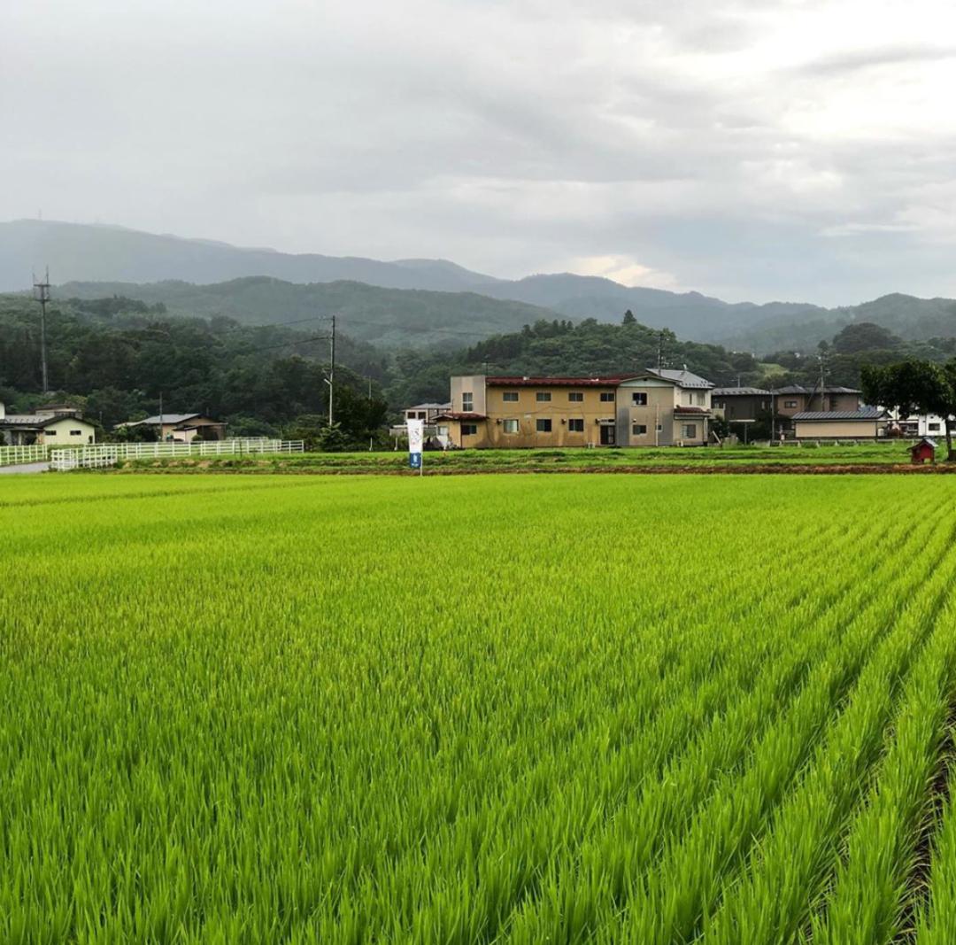 日本酒有哪些产区,日本酒三大产区