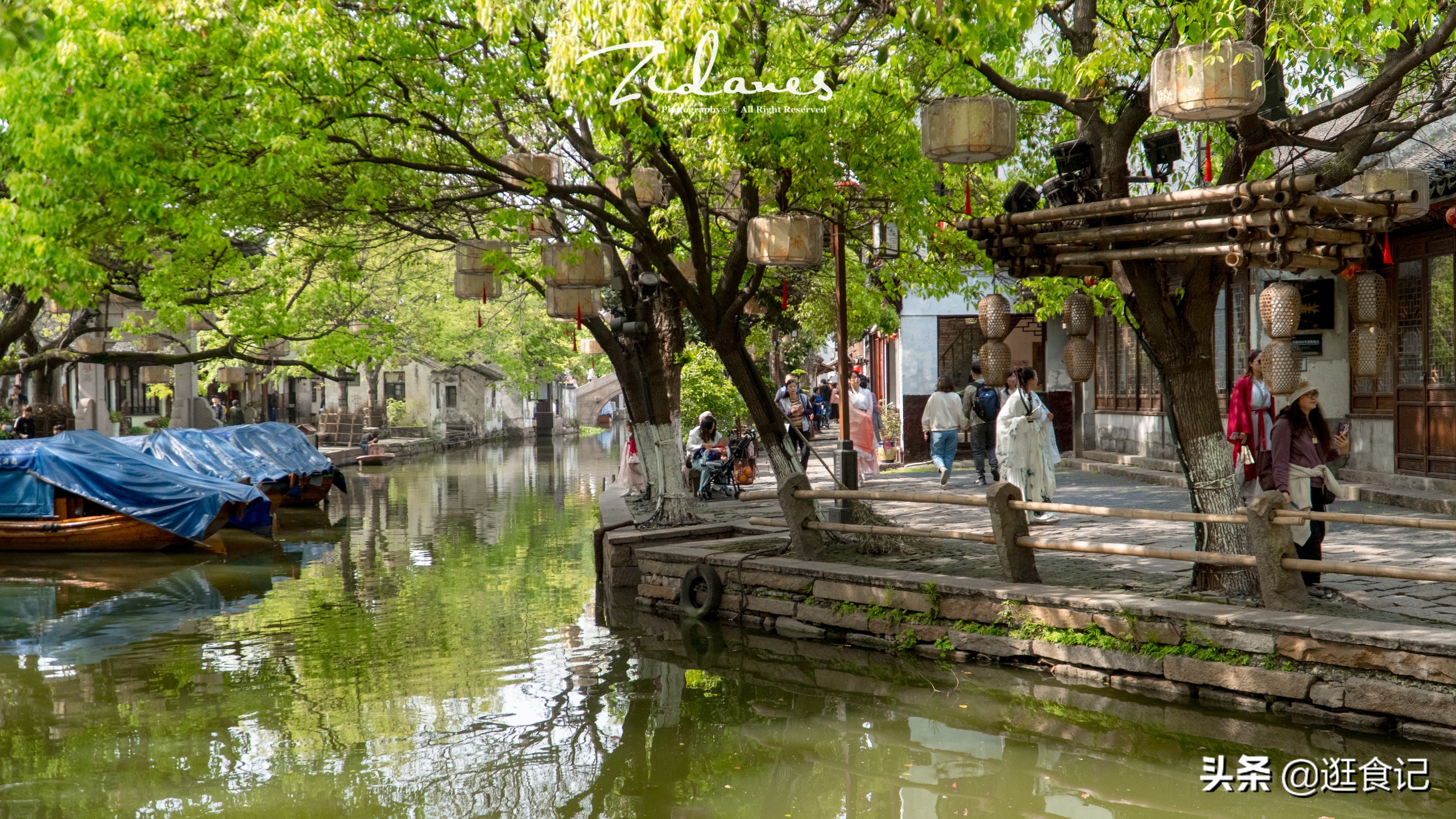 苏州周庄古镇水巷游,苏州周庄古镇最新旅游攻略