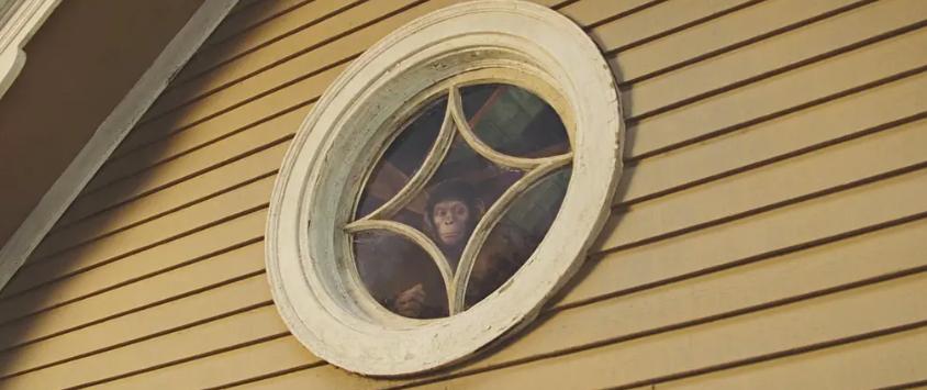 监控下小孩不可思议的瞬间,监控孩子的一举一动