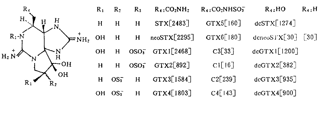 蓝藻产毒是什么,蓝藻对滇池的破坏
