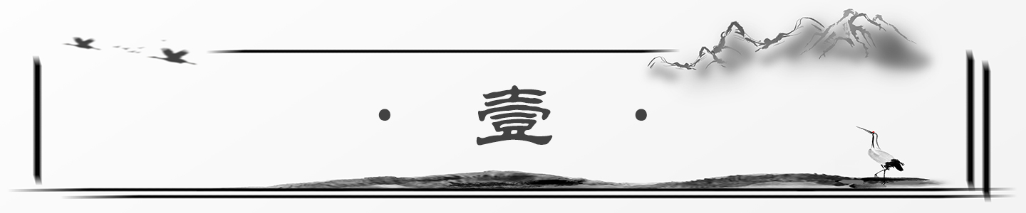 扁平层流预混中的乙炔摩尔分数2H4/使用中红外偏振光谱的空气火焰