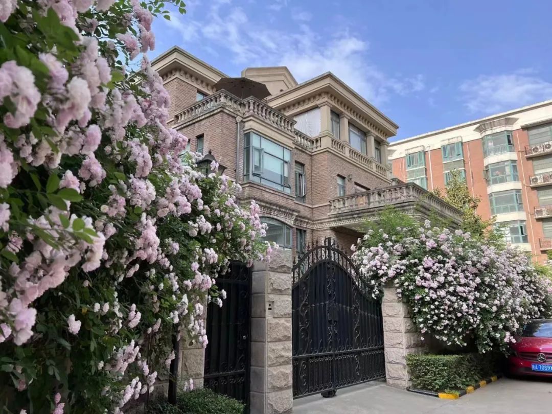 社区流动图书馆,家门口的图书馆