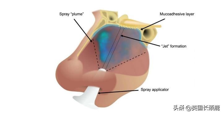 英国选举公布,英国选举结果公布