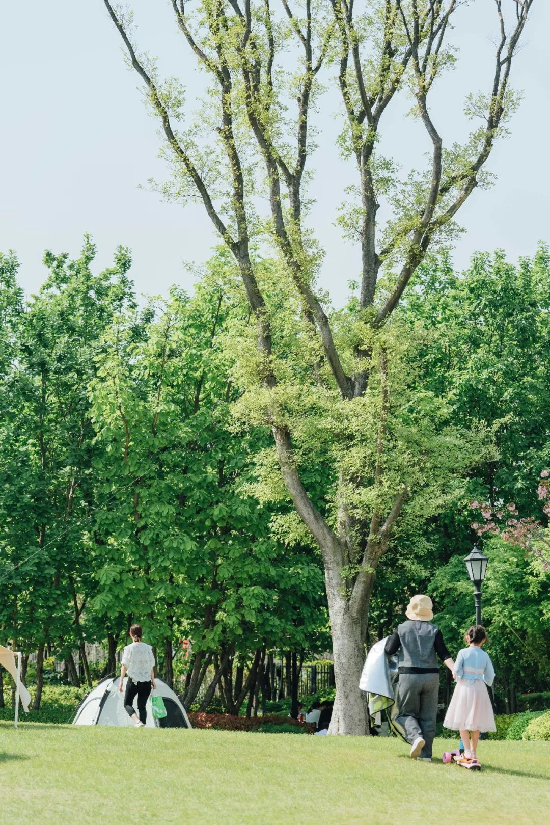 等一个自然而然的晴天一起去看海,等一个自然而然的晴天去海边