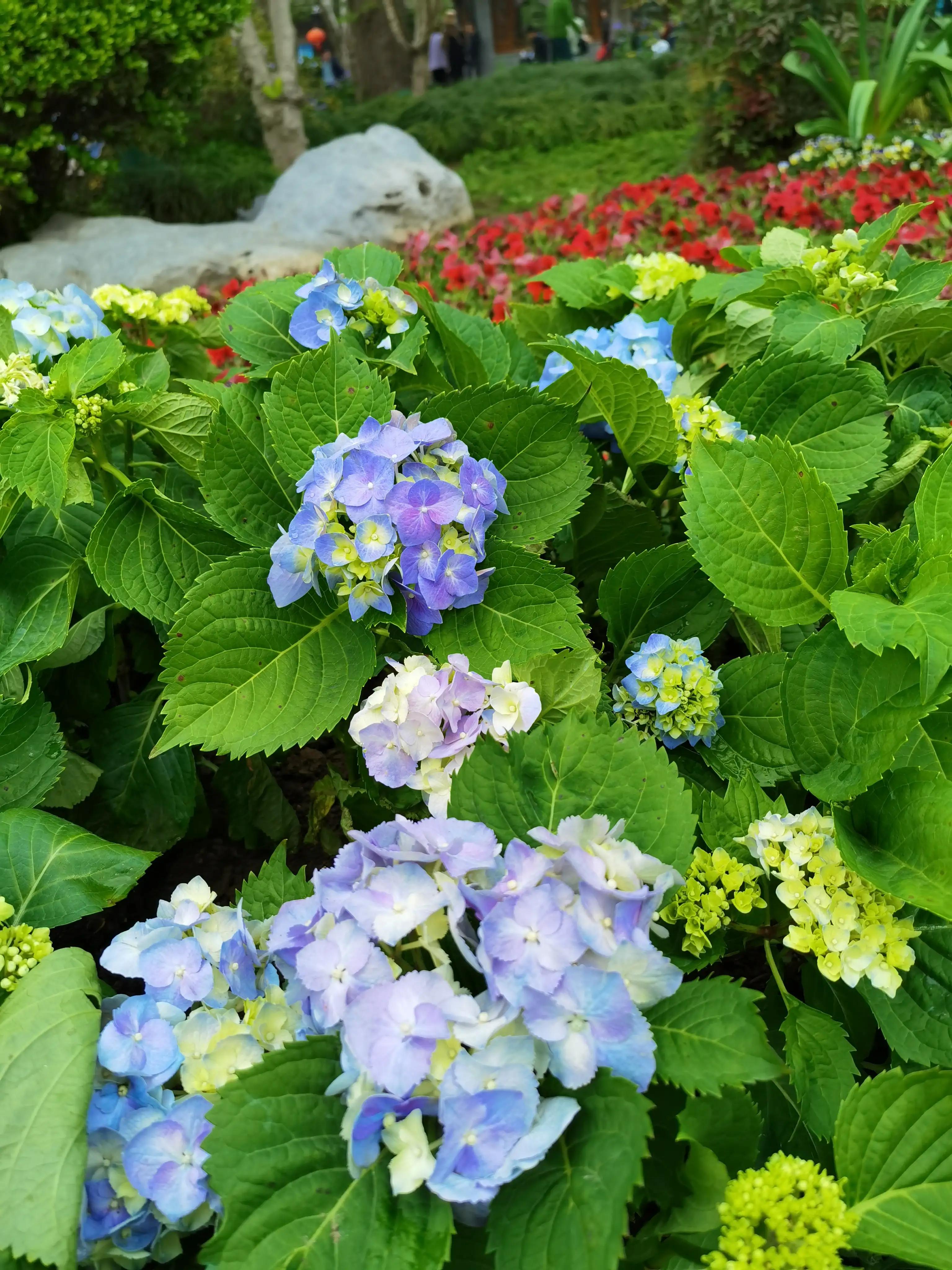 婴语奶声奶气,婴语声音视频