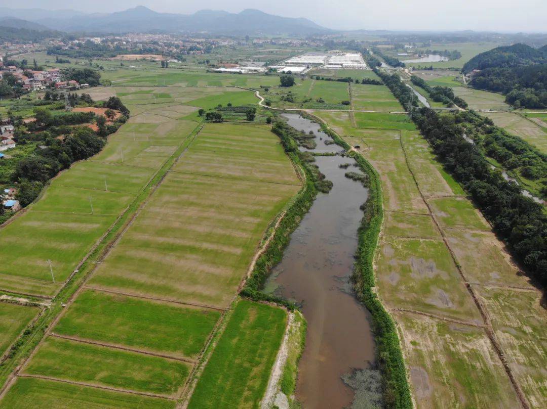 整治非法采矿，公益诉讼检察如何*局破**？