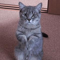 你交过排残奶的智商税了吗,你交过智商税的事