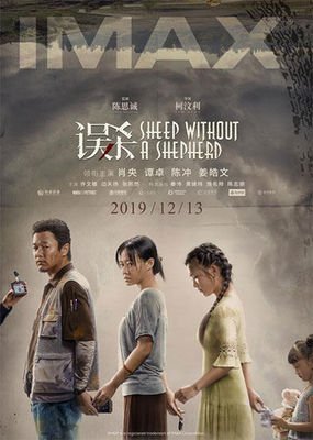 比误杀还好看的国产电影,电影推荐大片误杀9.0以上评分