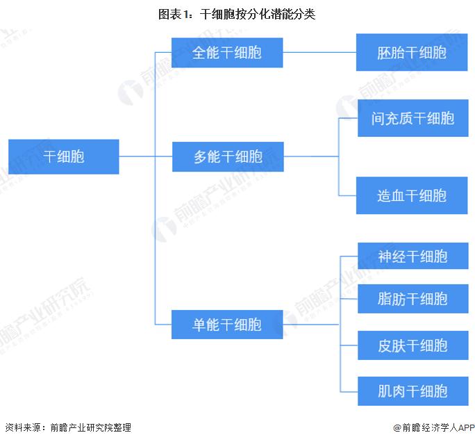 干细胞医疗最新规划,中国大健康产业发展趋势干细胞
