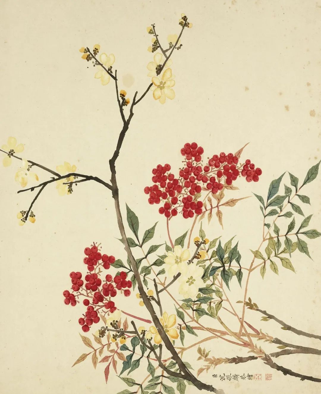 慕容看世界的视频,慕容看世界所有视频