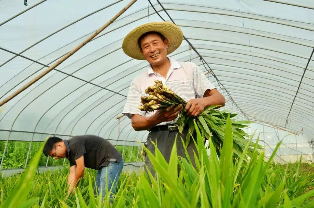 浙江土特产大全有哪些,浙江特产有哪些土特产品呢