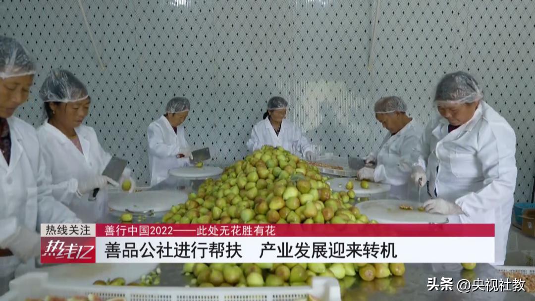 《善行中国2022》丨此处无花胜有花：村里第一位大学生放弃城市工作返乡创业，带领村民种植无花果致富