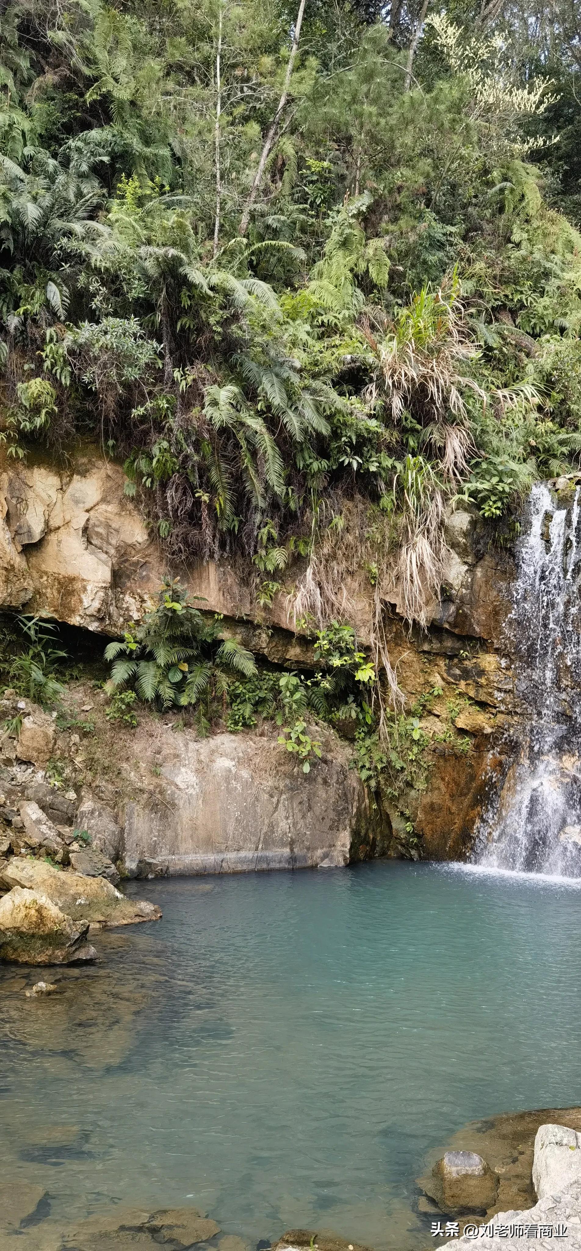 普宁老仙洞梅花盛开,普宁赏梅花最佳地点