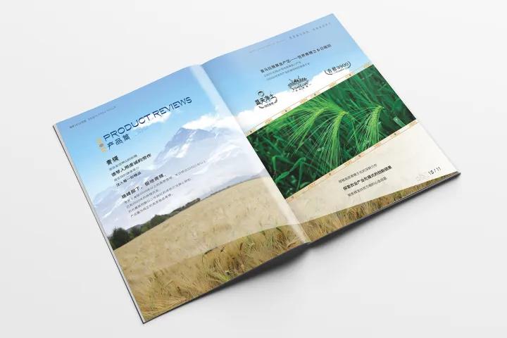 画册排版设计技巧有哪些,顶级画册设计排版注意什么