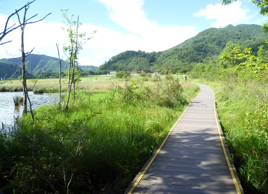 带你欣赏大九湖的美景,大九湖之旅
