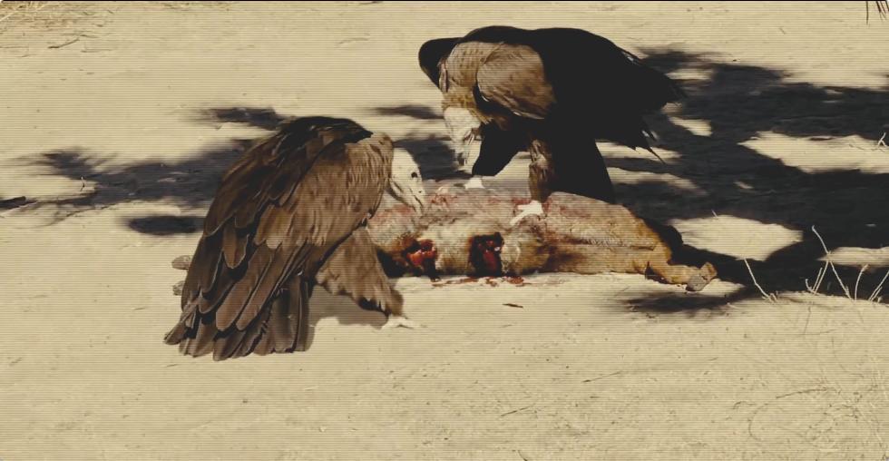 前半段手心冒汗，后半程反转不断，刺激之后，另有深意