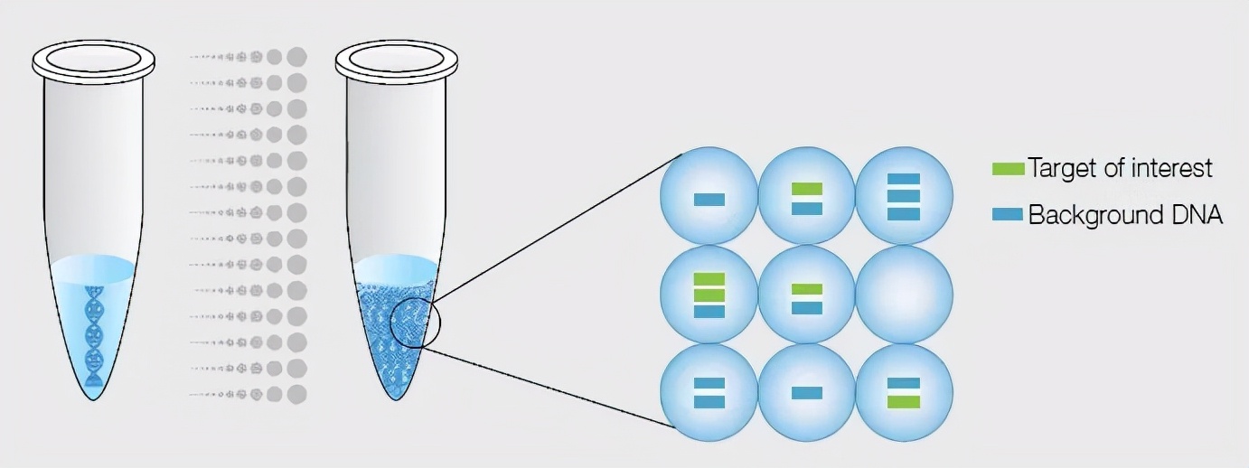 POCT产品设计：新技术浪潮下的数字PCR