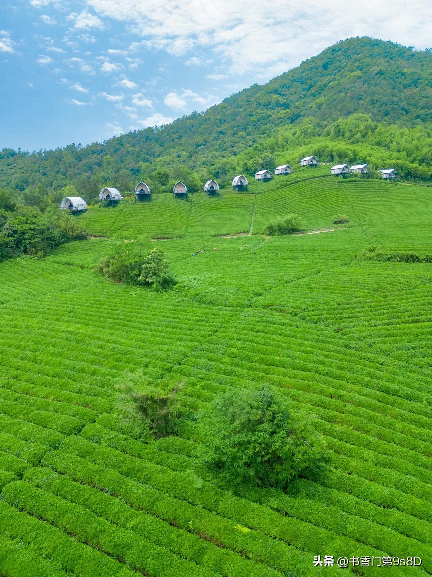 美丽的田野原唱,美丽的田野第32集