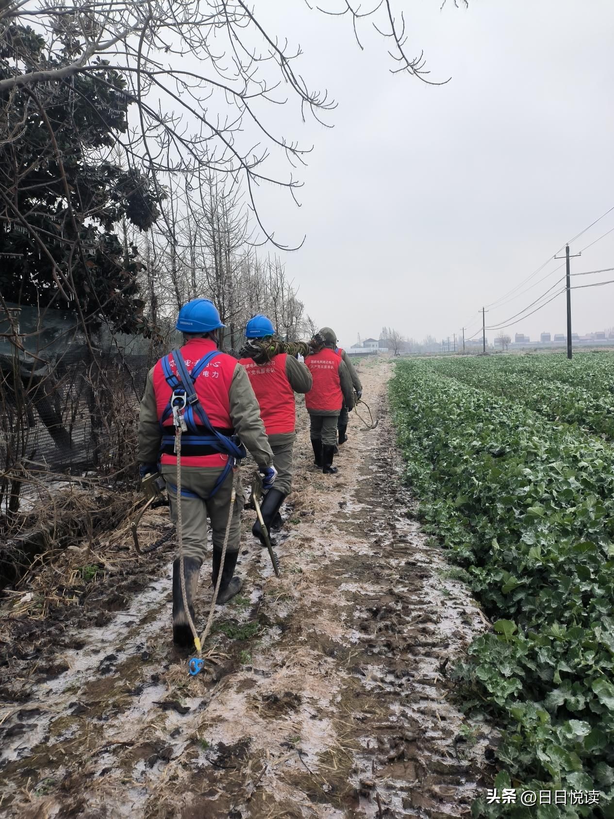 以雪为令全员上阵执锐披坚保平安,以雪为令齐出动全力以赴保畅通