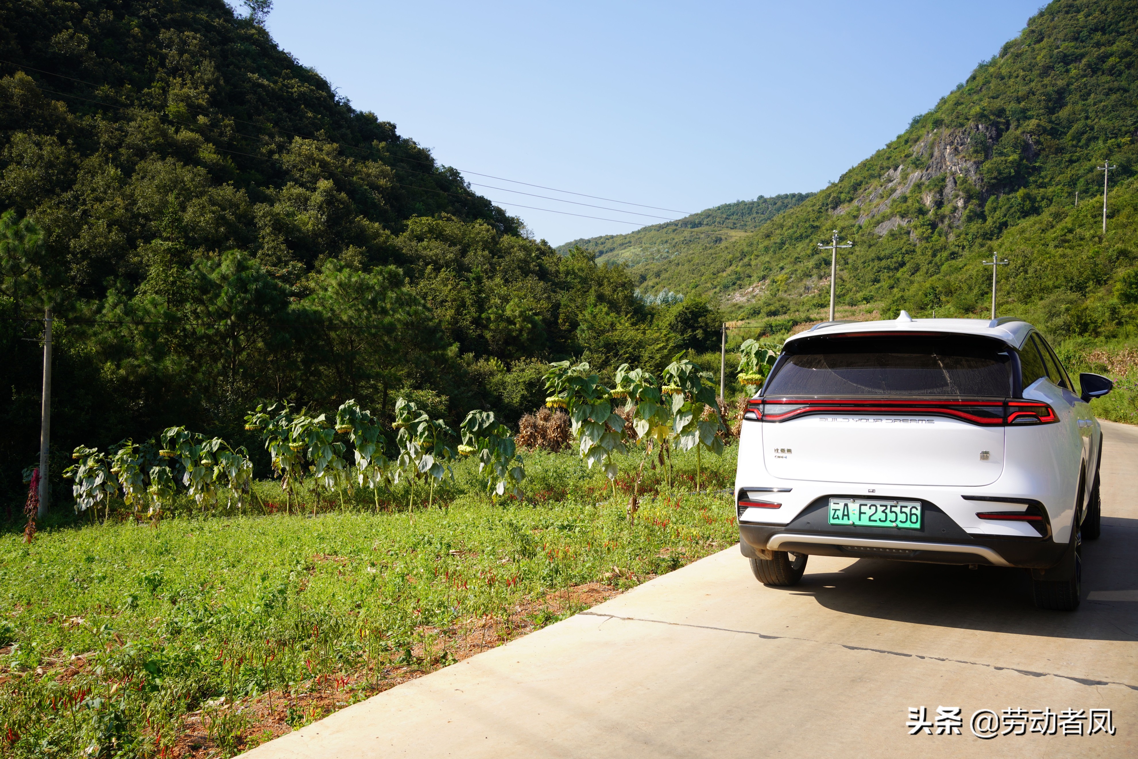 比亚迪唐dmi用车小技巧,唐dmi车机设置充电上限