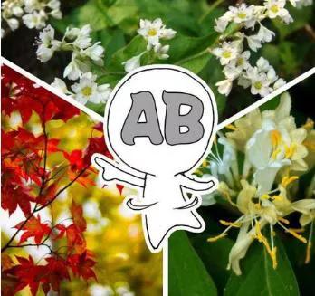 哪一种血型寿命更长,哪一种血型少生孩子