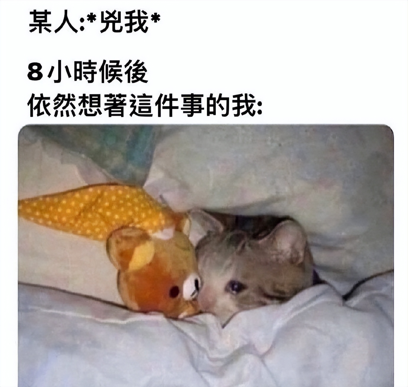 NO.3今日笑话不懂就问，老师的副业真都这么有趣吗