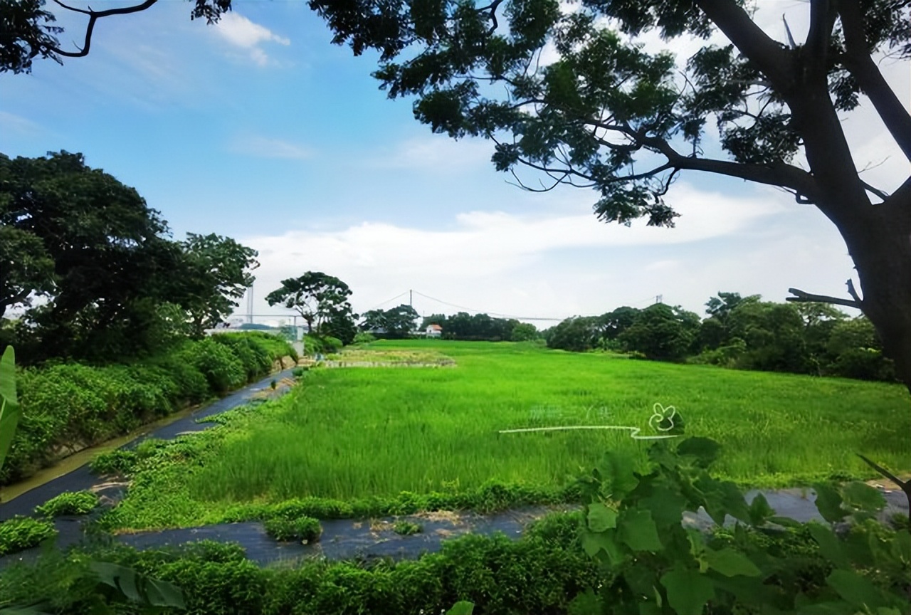 广州轮渡旅游攻略大全,广州旅游攻略必去的10个岛