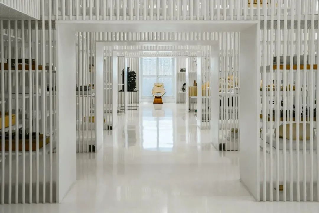 魔都自然博物馆,魔都的博物馆真的很有看头