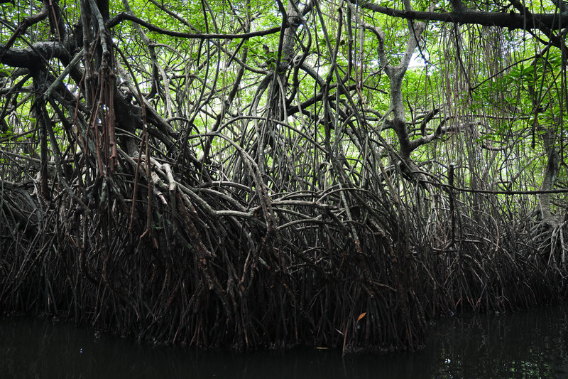 斯里兰卡旅游攻略必去景点,斯里兰卡最佳旅游攻略