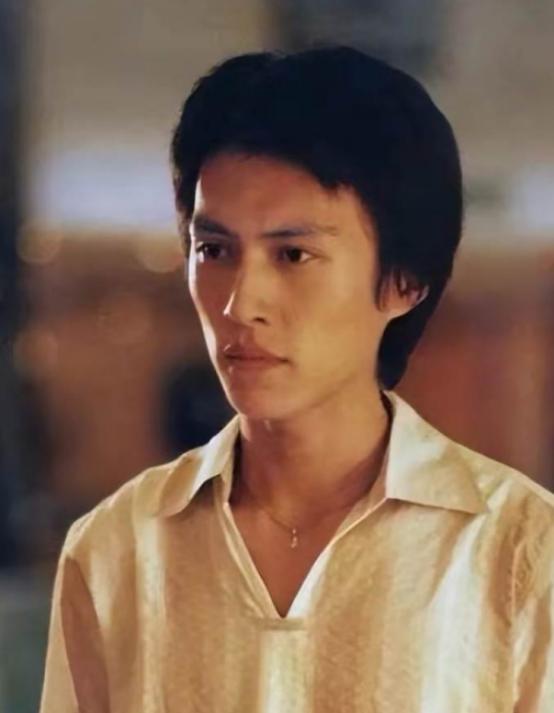 年轻时候最帅的5个男演员,那些长得一般却很有气质的男演员