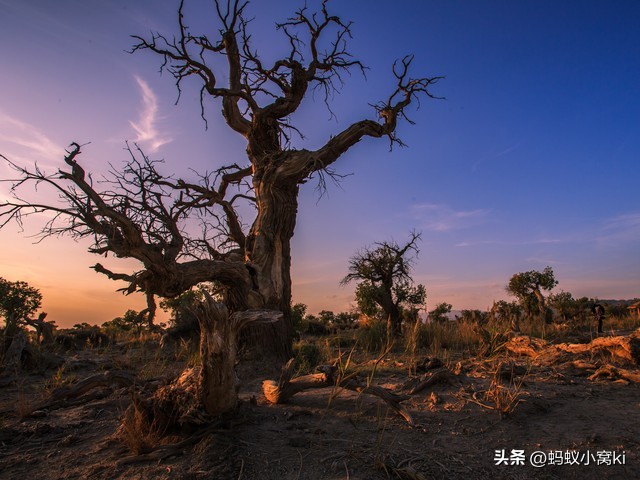 世界五大沙漠,五大沙漠