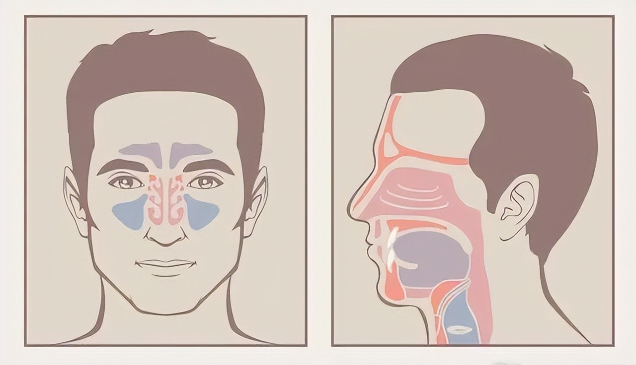 鼻毛总窜出来预示什么,鼻毛总是窜出来怎么解决