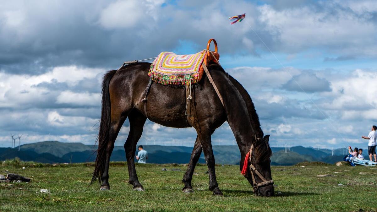 北方避暑旅游城市推荐,必去的避暑之都