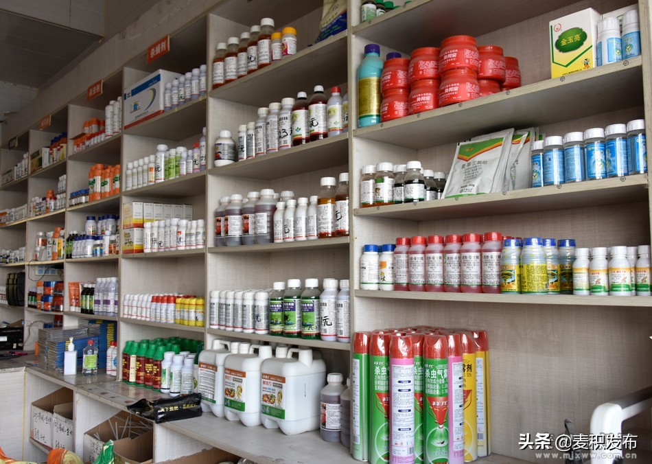 供销社创新为农服务手段,强化县级供销合作社统筹运营能力