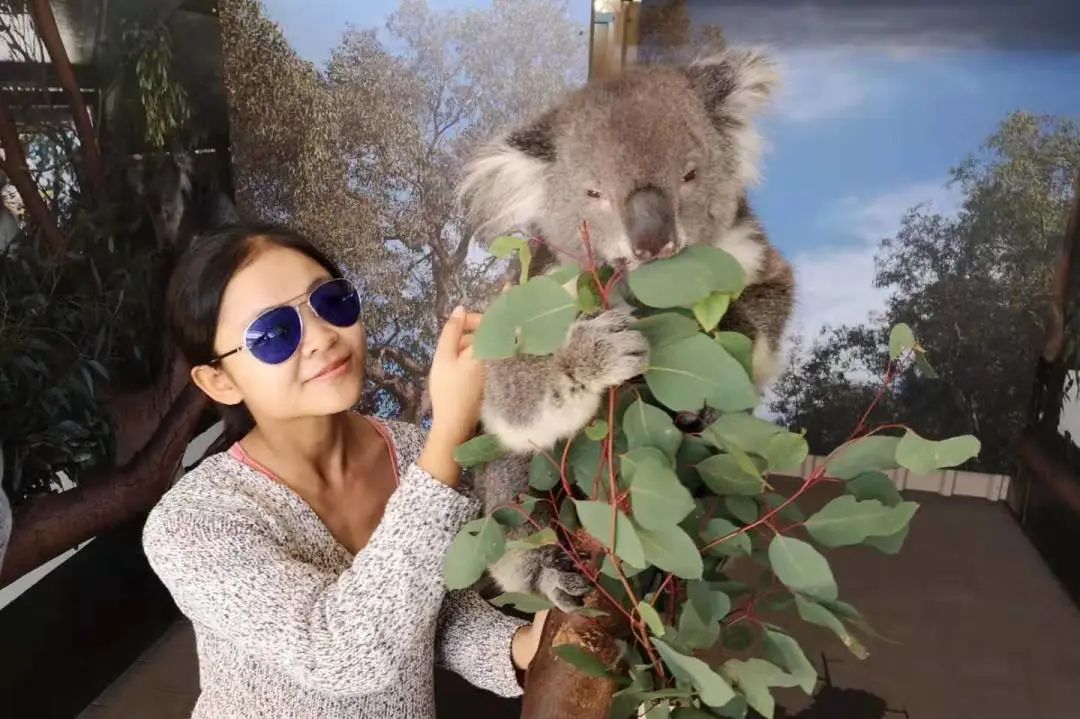 90后小荷在澳洲:环游26国,在990平房子里,种菜喂鸡养蜜蜂