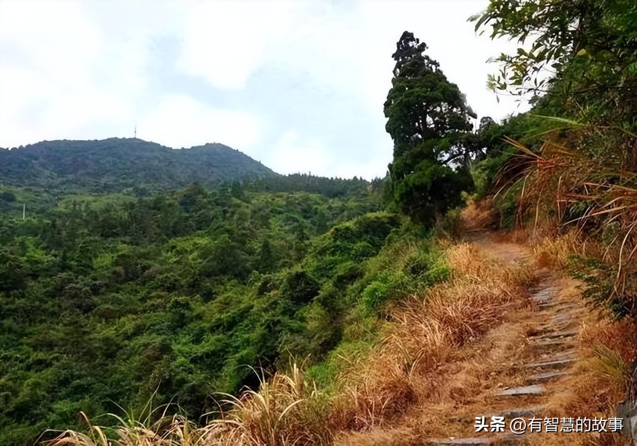 古代志怪传奇——韦自东护道