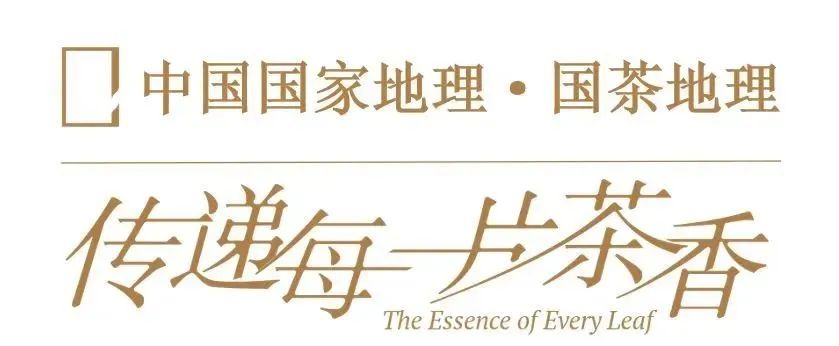 修享茶业钟海勇：以茶行修，打造中国茶文化的独特品牌之路