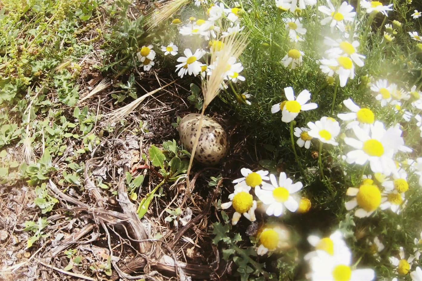 中国小伙荒岛求生大合集,中国小伙的航海日记合集