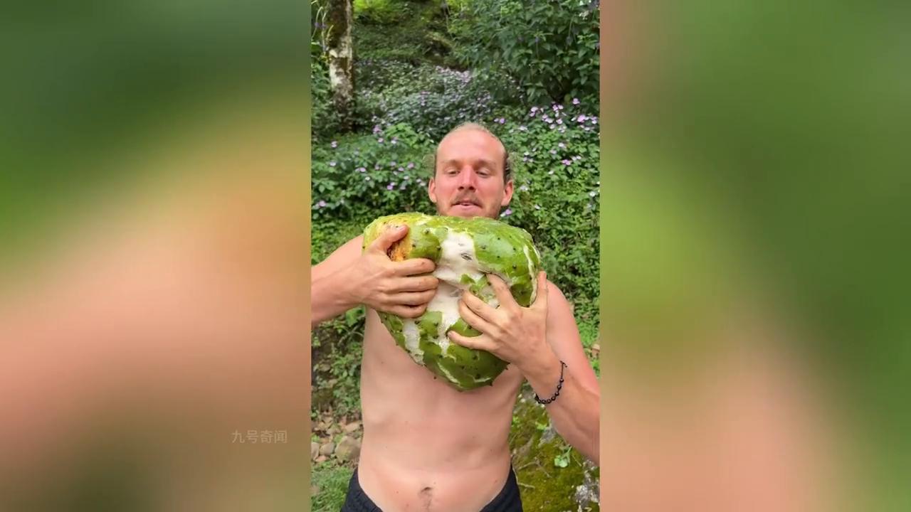 诡异的生物被大量发现?手臂上被某种虫子吸附