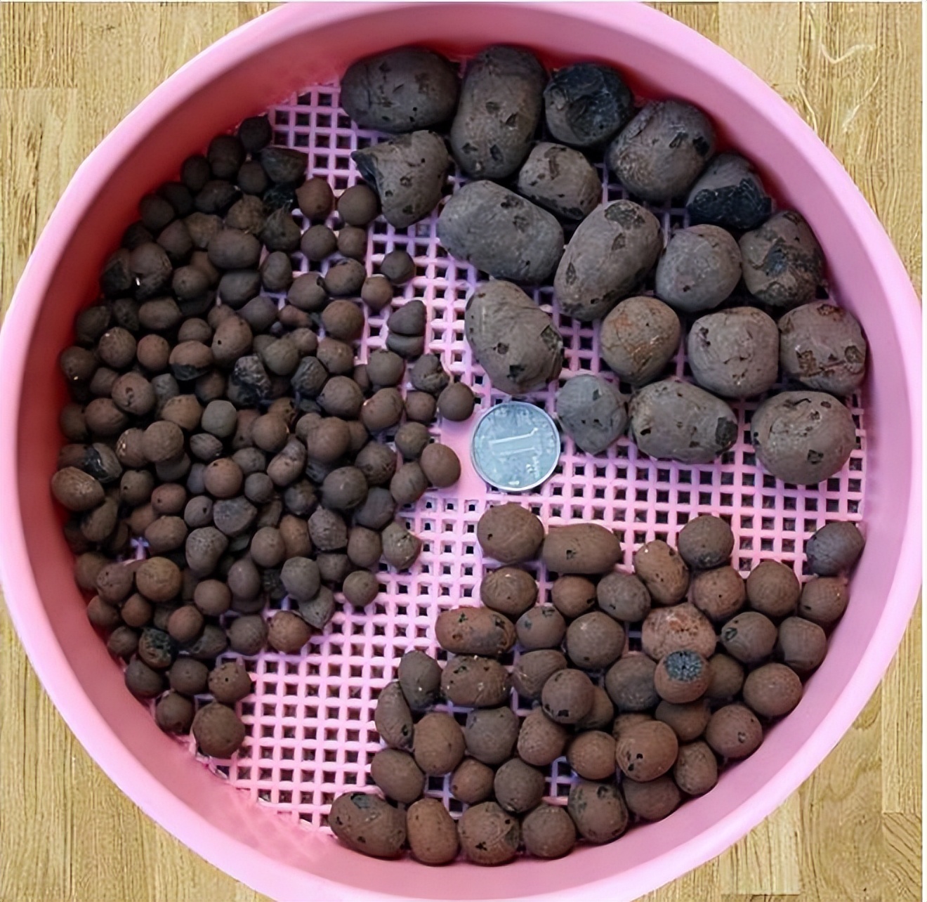 养花时花盆底下的小洞可以堵上吗,花盆下面垫个塑料盆会烂根吗