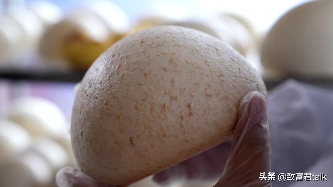 卖馒头一年赚500万,卖馒头可赚钱