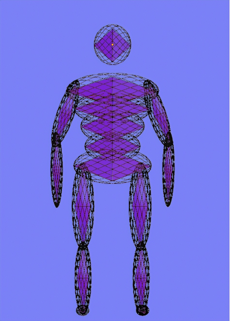 人体几何结构解析,人体几何体结构分析图