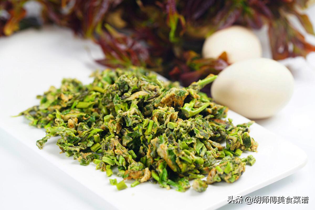 香椿不能随便吃,香椿不建议多吃吗