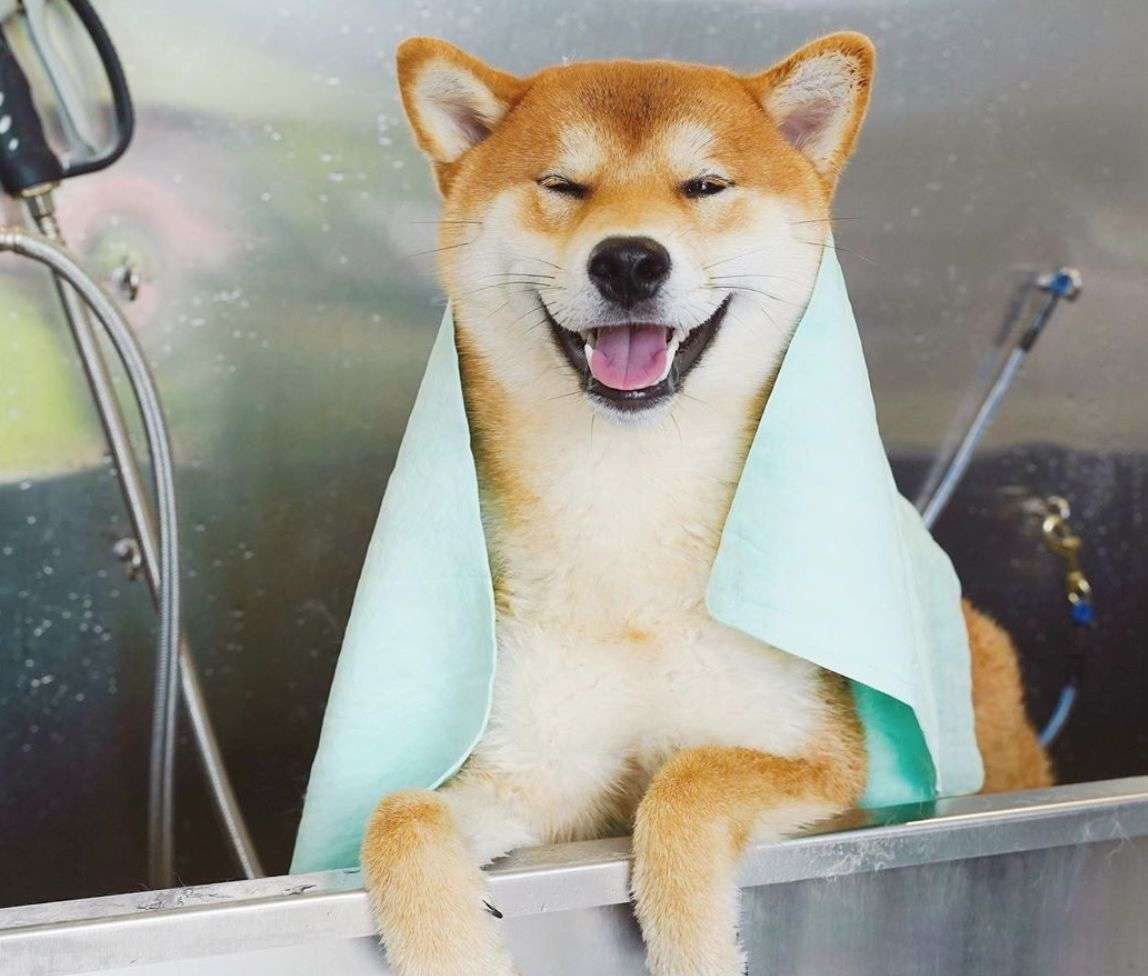 适合女生用的沐浴乳测评,最留香的沐浴露测评