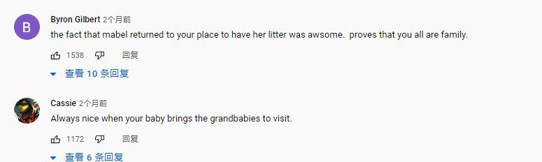 鍔犳嬁澶у皬娴g唺骞煎唇,鍔犳嬁澶у杺鍏诲皬娴g唺