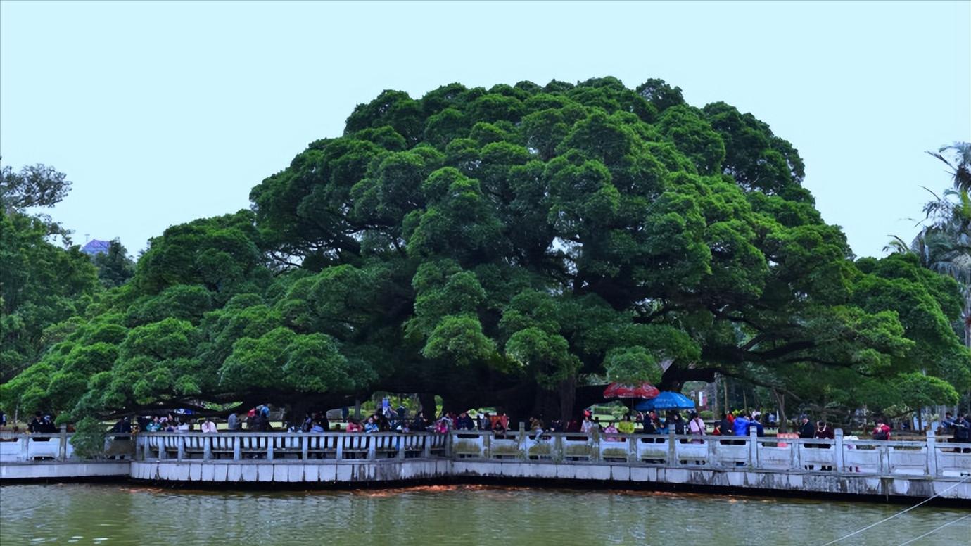 福建省福州市几个区,中国34个省级行政区域教学视频