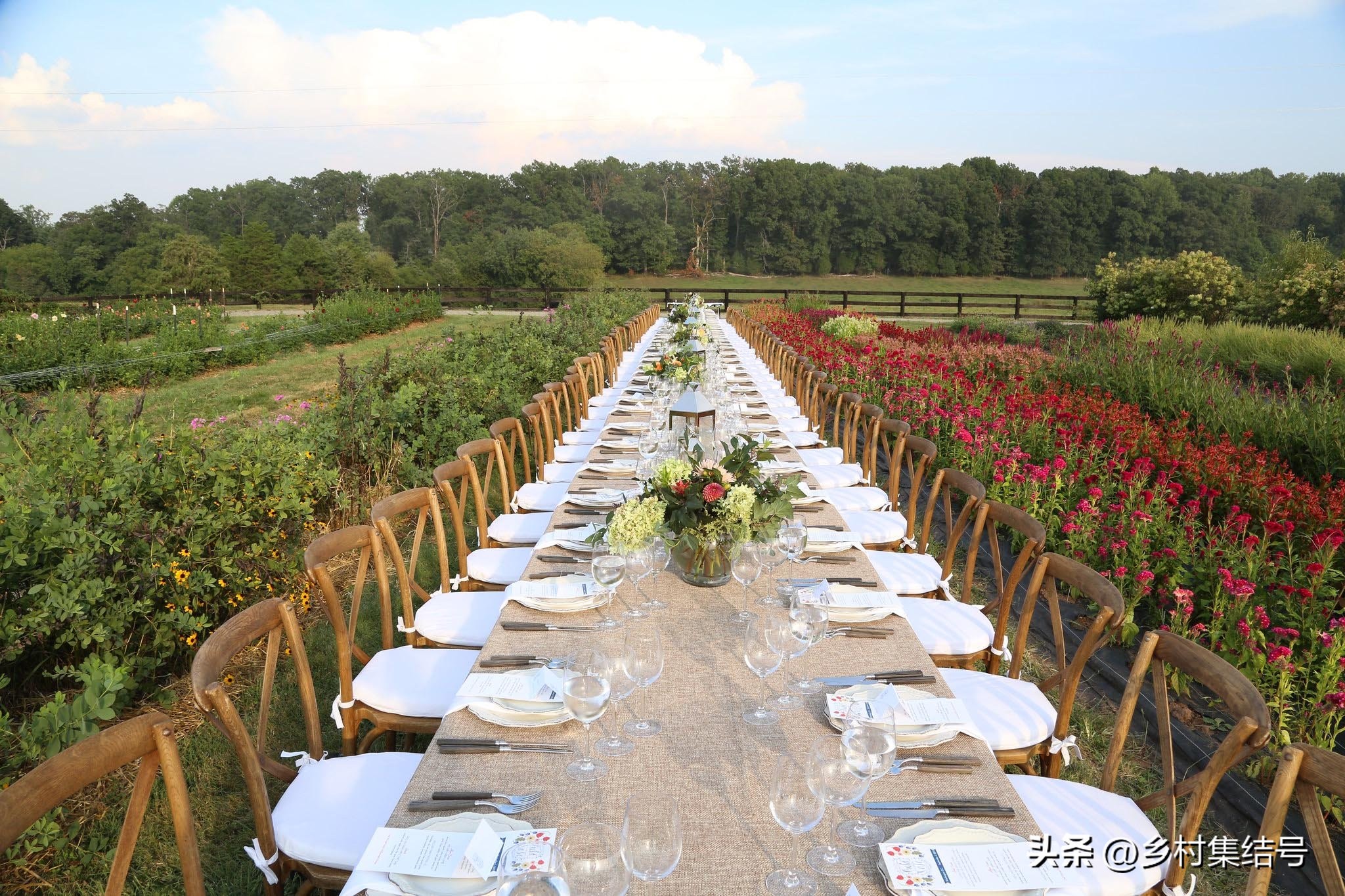 美国夏日梦幻农场：以大丽花为主题的鲜花园艺农场，如梦如画！