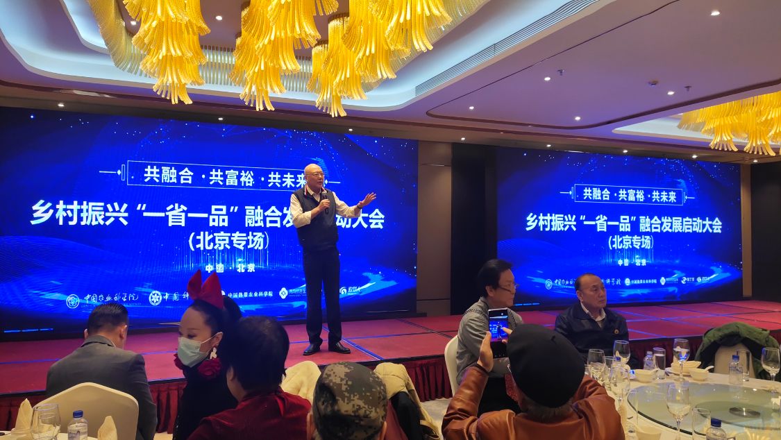 双城论坛完整版,双城论坛今日报道