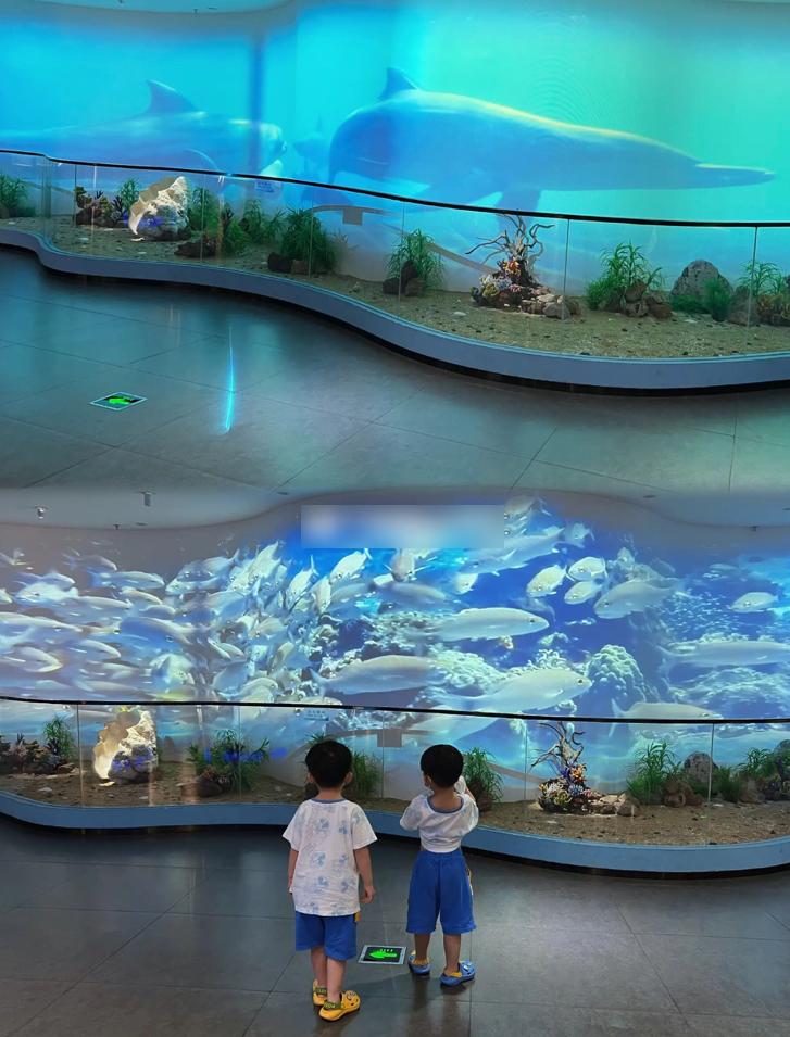 深圳游玩推荐免费遛娃,深圳十大遛娃必去景点学生党
